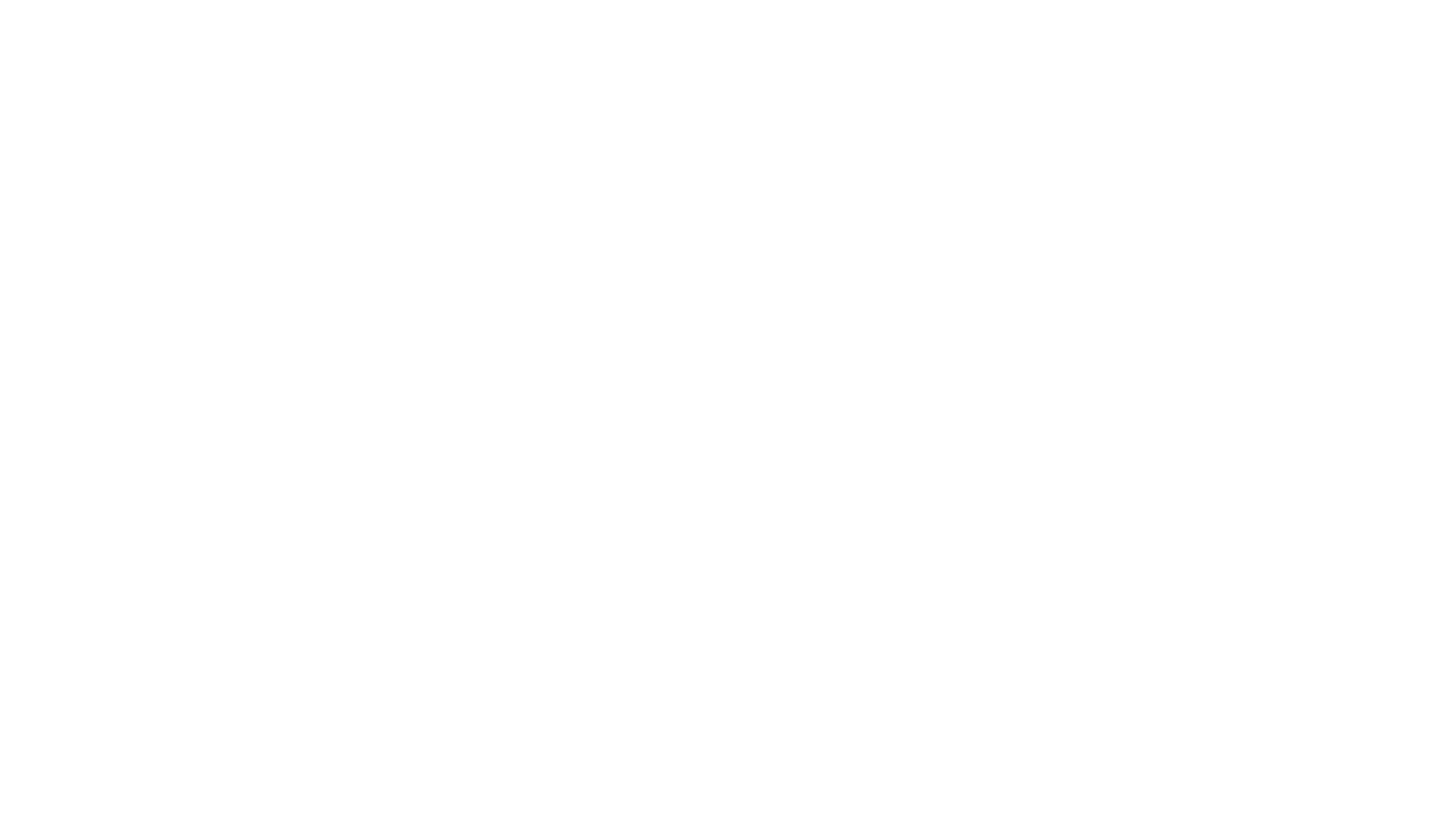 Zara White Logo